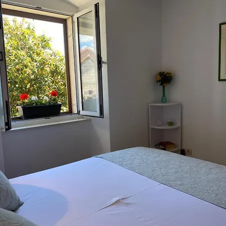 Apartment Mediterano - Center *