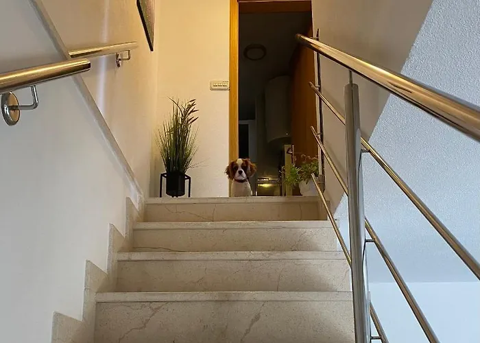 Mediterano - Center 아파트 스플리트