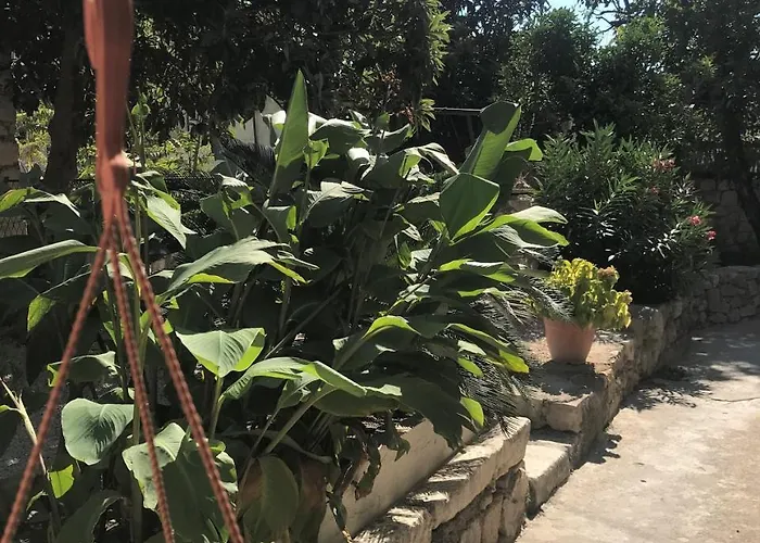 Mediterano - Center 아파트