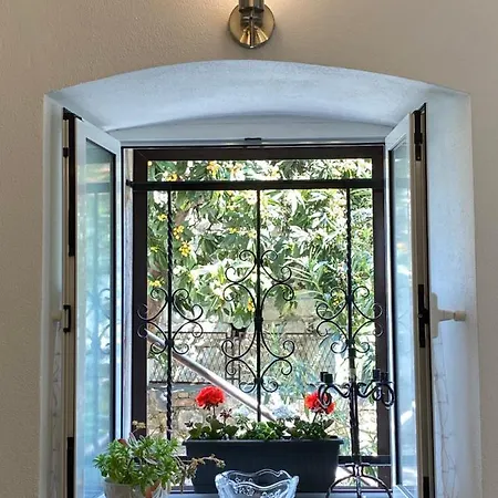 Mediterano - Center * Σπλιτ